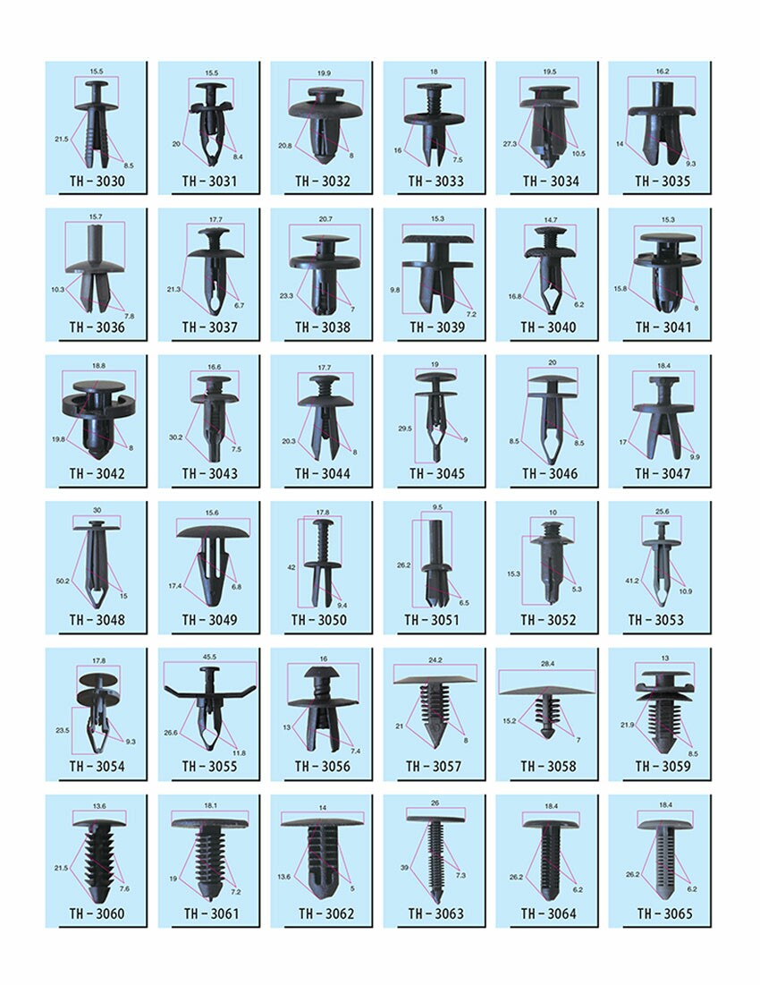 Auto Plastic Fasten Clips Introduction 12