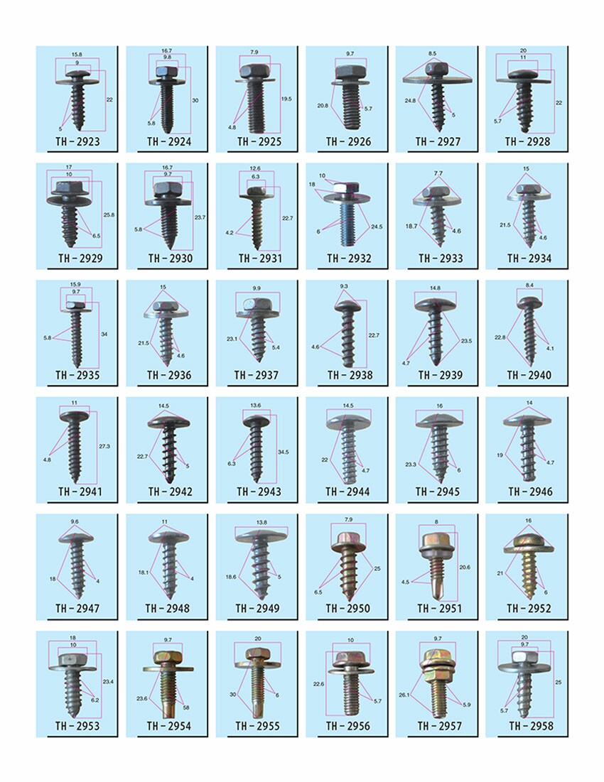 Auto Plastic Fasten Clips Introduction 13