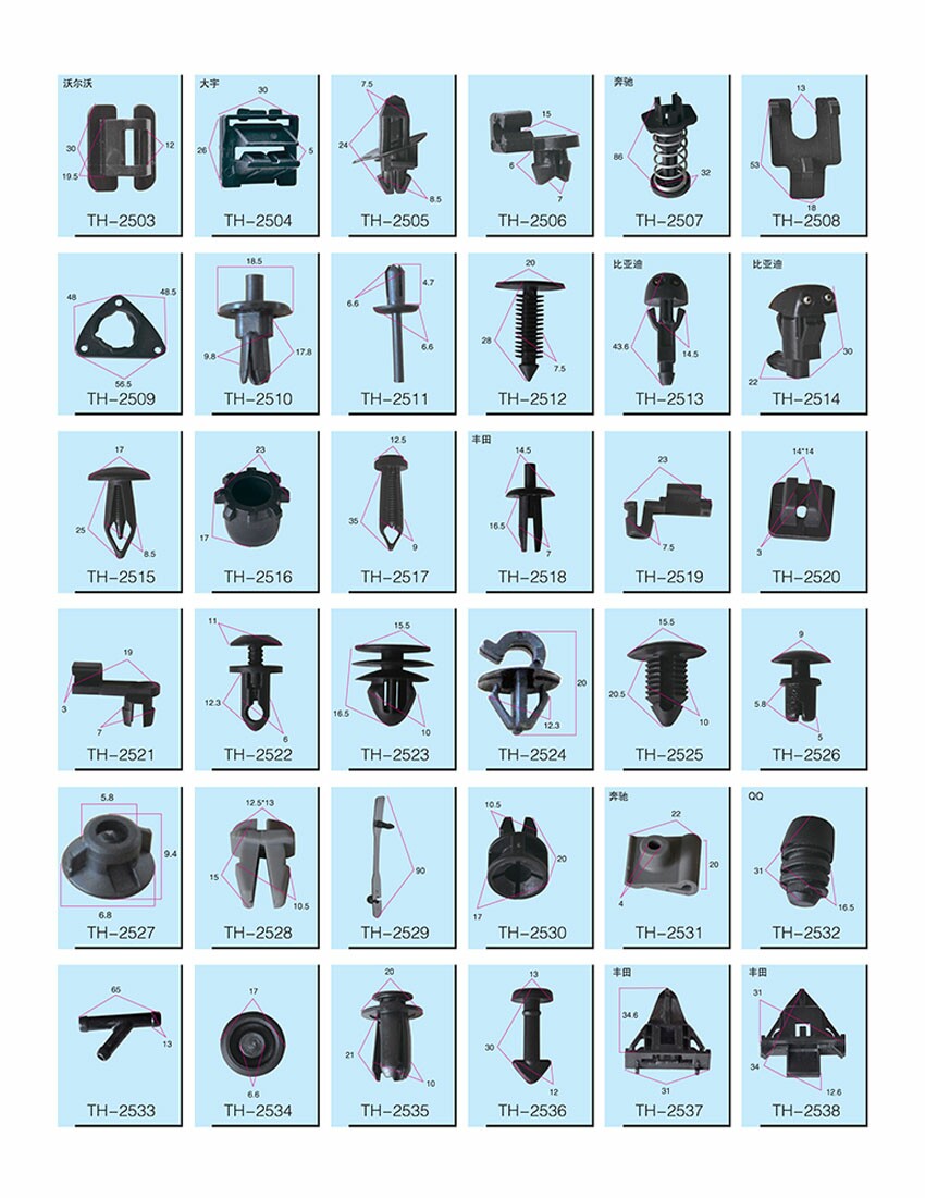Auto Plastic Fasten Clips Introduction 14