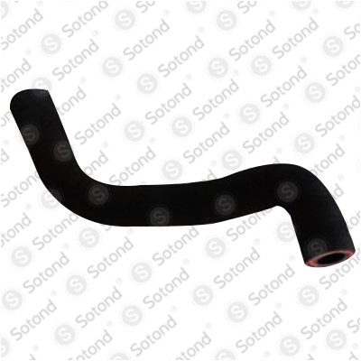 3818321823 BENZ Hose