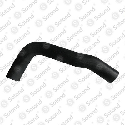 6205012982 BENZ Hose